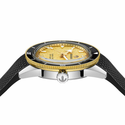 Montre RADO Captain Cook Automatic R32223258