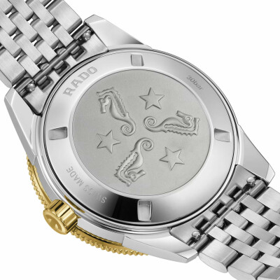 RADO Captain Cook Automatic R32225313 watch