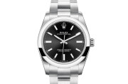 Rolex Oyster Perpetual 34 in Oystersteel M124200-0002 at Felopateer Palace