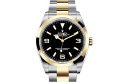 Rolex Explorer 36 in Yellow Rolesor - combination of Oystersteel and yellow gold M124273-0001 at Felopateer Palace