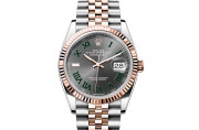 Rolex Datejust 36 in Everose Rolesor - combination of Oystersteel and Everose gold M126231-0029 at Ferret