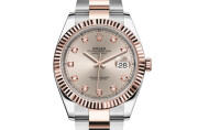 Rolex Datejust 41 in Everose Rolesor - combination of Oystersteel and Everose gold M126331-0007 at Ferret