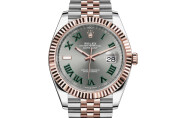 Rolex Datejust 41 in Everose Rolesor - combination of Oystersteel and Everose gold M126331-0016 at Ferret
