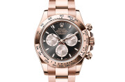 Rolex Cosmograph Daytona in 18 ct Everose gold M126505-0001 at DOUX Joaillier
