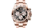 Rolex Cosmograph Daytona in 18 ct Everose gold M126505-0002 at DOUX Joaillier