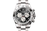 Rolex Cosmograph Daytona in 18 ct white gold M126509-0001 at ACRE