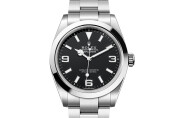 Rolex Explorer 40 in Oystersteel M224270-0001 at Felopateer Palace