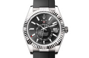 Rolex Sky-Dweller in 18 ct white gold M336239-0002 at Raynal