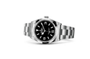 Rolex Explorer 36 in Oystersteel M124270-0001 at Felopateer Palace - view 2