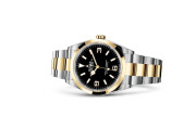 Rolex Explorer 36 in Yellow Rolesor - combination of Oystersteel and yellow gold M124273-0001 at Zegg & Cerlati - view 2