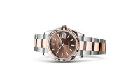 Rolex Datejust 36 in Everose Rolesor - combination of Oystersteel and Everose gold M126231-0044 at The Vault - view 2