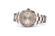 Rolex Datejust 41 in Everose Rolesor - combination of Oystersteel and Everose gold M126331-0007 at DOUX Joaillier - view 2