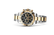 Rolex Cosmograph Daytona in Yellow Rolesor - combination of Oystersteel and yellow gold M126503-0003 at DOUX Joaillier - view 2