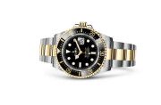 Rolex Sea-Dweller in Yellow Rolesor - combination of Oystersteel and yellow gold M126603-0001 at Euro-Asia - view 2