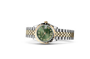 Rolex Datejust 31 in Yellow Rolesor - combination of Oystersteel and yellow gold M278343RBR-0016 at The Vault - view 2