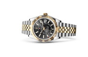 Rolex Sky-Dweller in Yellow Rolesor - combination of Oystersteel and yellow gold M336933-0004 at Felopateer Palace - view 2