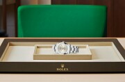 Rolex Oyster Perpetual 34 in Oystersteel M124200-0001 at Felopateer Palace - view 4