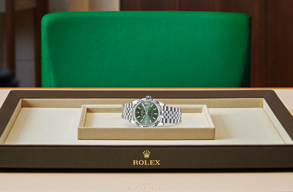 Rolex Datejust 36 in White Rolesor - combination of Oystersteel and white gold M126234-0051 at Felopateer Palace - view 4