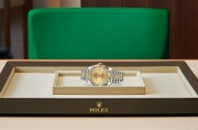 Rolex Datejust 41 in Yellow Rolesor - combination of Oystersteel and yellow gold M126333-0010 at Dubail - view 4