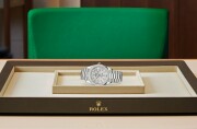 Rolex Day‑Date 40 in 18 ct white gold M228349RBR-0040 at Ferret - view 4