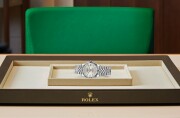 Rolex Datejust 31 in White Rolesor - combination of Oystersteel and white gold M278274-0030 at The Vault - view 4