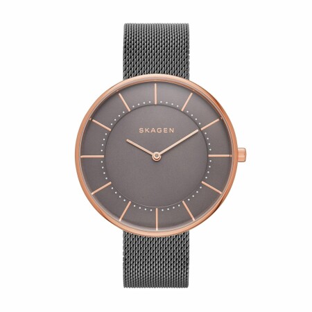 Montre Skagen Gitte SKW2584