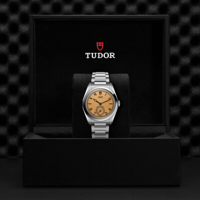 Montre TUDOR  Monarch boîtier en acier, 39 mm, couleur champagne sombre