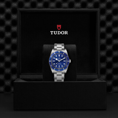 Montre TUDOR  Black Bay 54 boîtier en acier, 37 mm, bracelet en acier