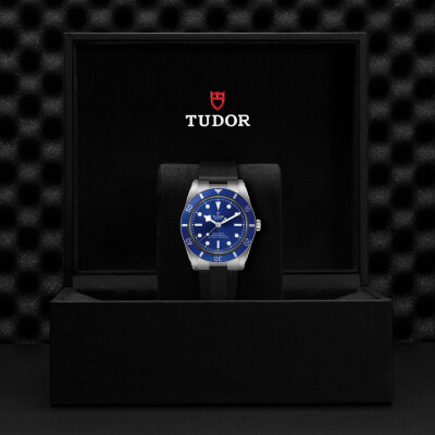 Montre TUDOR  Black Bay 54 boîtier en acier, 37 mm, cadran bleu