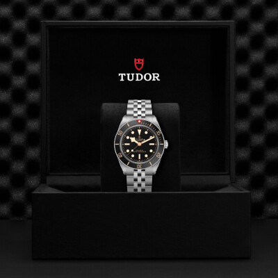 Montre TUDOR  Black Bay 58 boîtier en acier, 39 mm, bracelet en acier