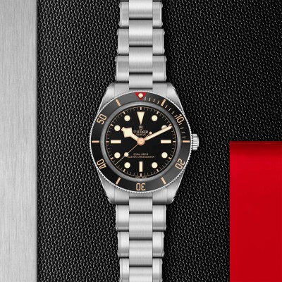 Montre TUDOR  Black Bay 58 boîtier en acier, 39 mm, bracelet en acier
