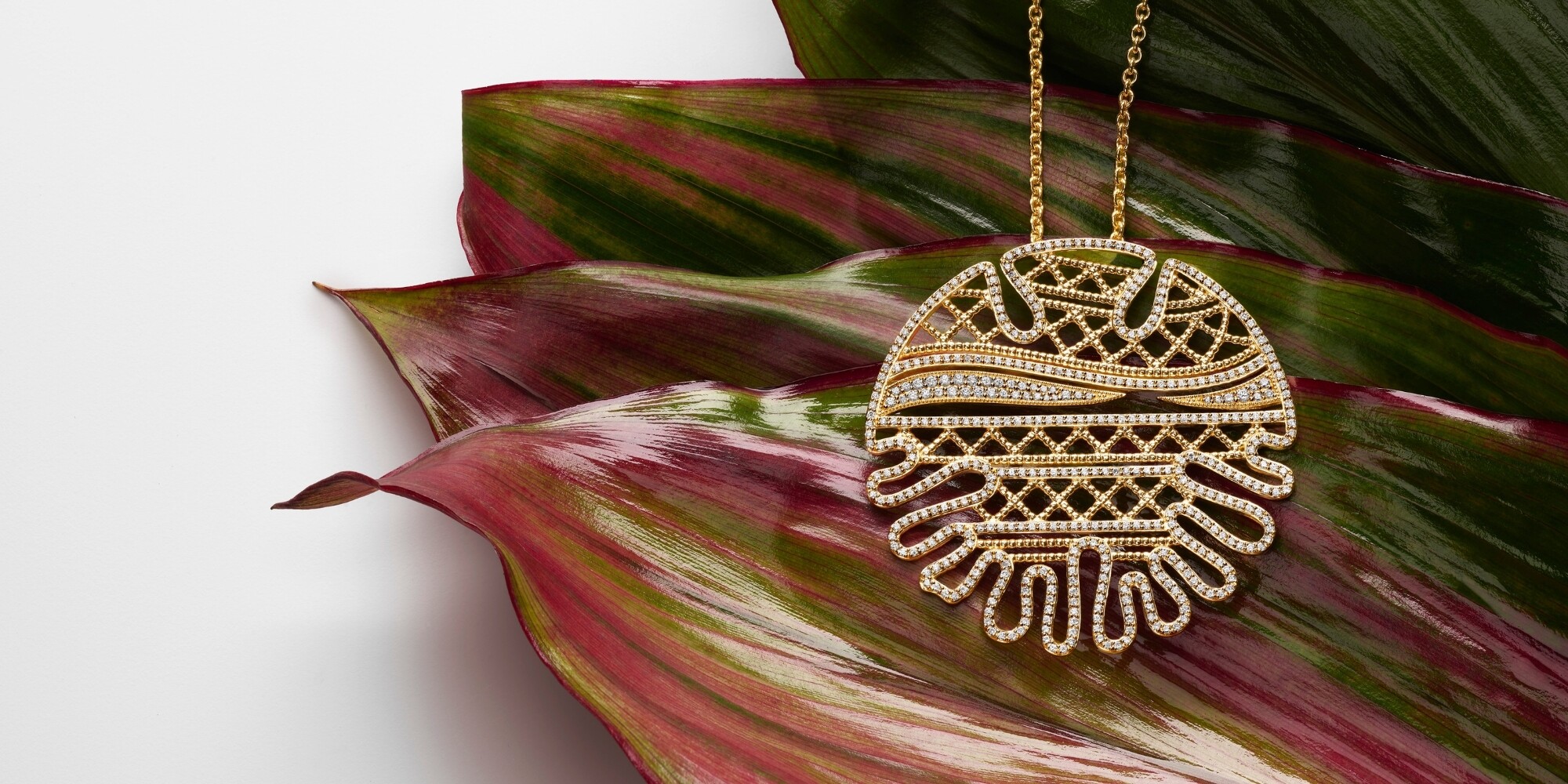 African Creative by A.Constant