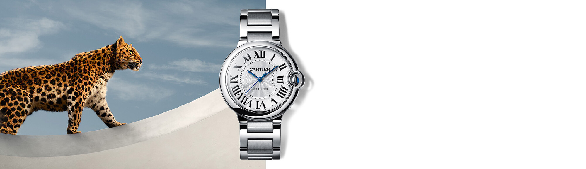 Montres de la marque Cartier