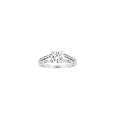 Solitaire en or blanc certifié, entourage diamants