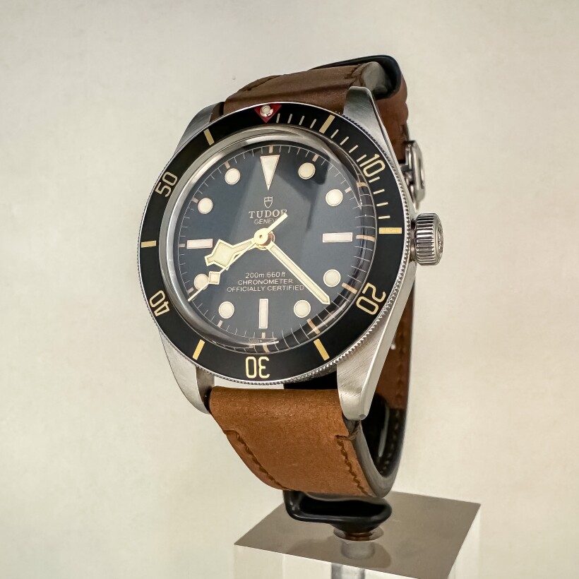 Montre TUDOR Black Bay 58 79030N.