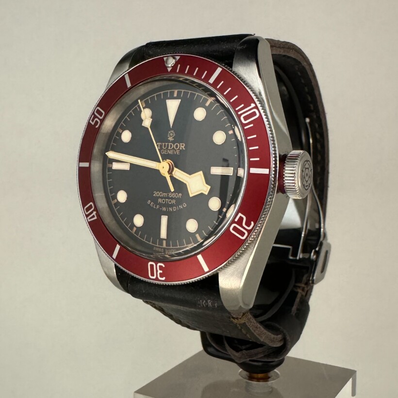 Montre Tudor Black Bay 41 79220R.