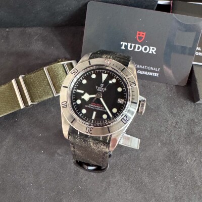 Montre TUDOR Black Bay Steel 79730.