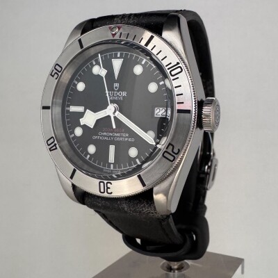 Montre TUDOR Black Bay Steel 79730.