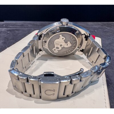 Montre Omega Seamaster Aqua Terra