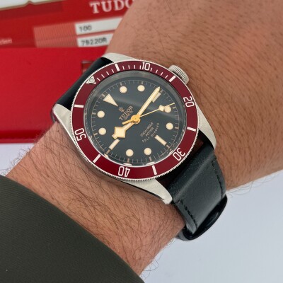 Montre Tudor Black Bay 79220R.