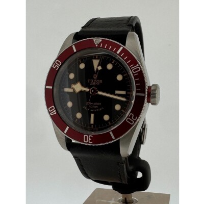 Montre Tudor Black Bay 79220R.