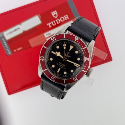 Montre Tudor Black Bay 79220R.