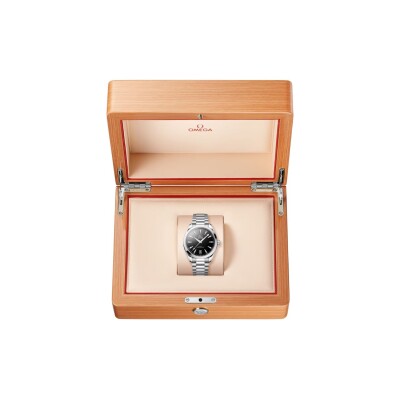 Montre OMEGA Seamaster Aqua Terra 150M 41mm