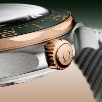 Montre OMEGA Seamaster Diver 300M Co-Axial Master Chronometer 42mm