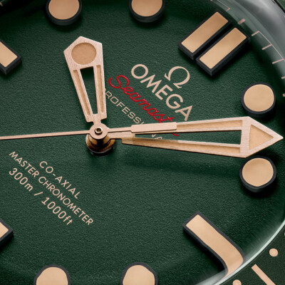 Montre OMEGA Seamaster Diver 300M Co-Axial Master Chronometer 42mm