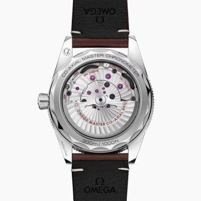 Montre OMEGA Seamaster Seamaster 300 Co-Axial Master Chronometer 41mm