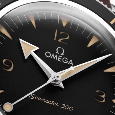 Montre OMEGA Seamaster Seamaster 300 Co-Axial Master Chronometer 41mm