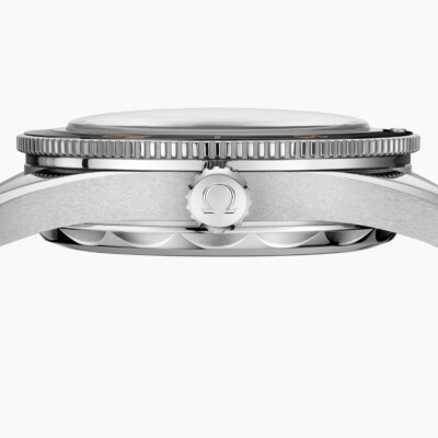 Montre OMEGA Seamaster Seamaster 300 Co-Axial Master Chronometer 41mm