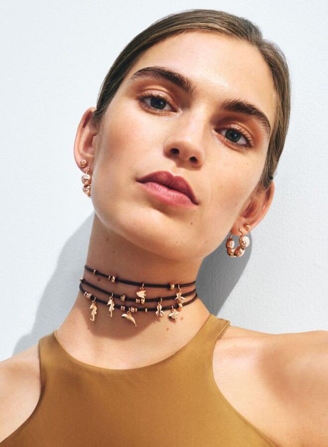 Découvrir la collection Nature