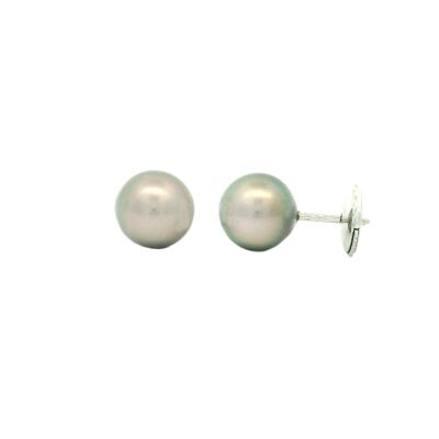 Puces d'oreilles en or blanc et perles de Tahiti